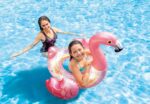 Intex šlauf Flamingos 56251NP - 56251NP